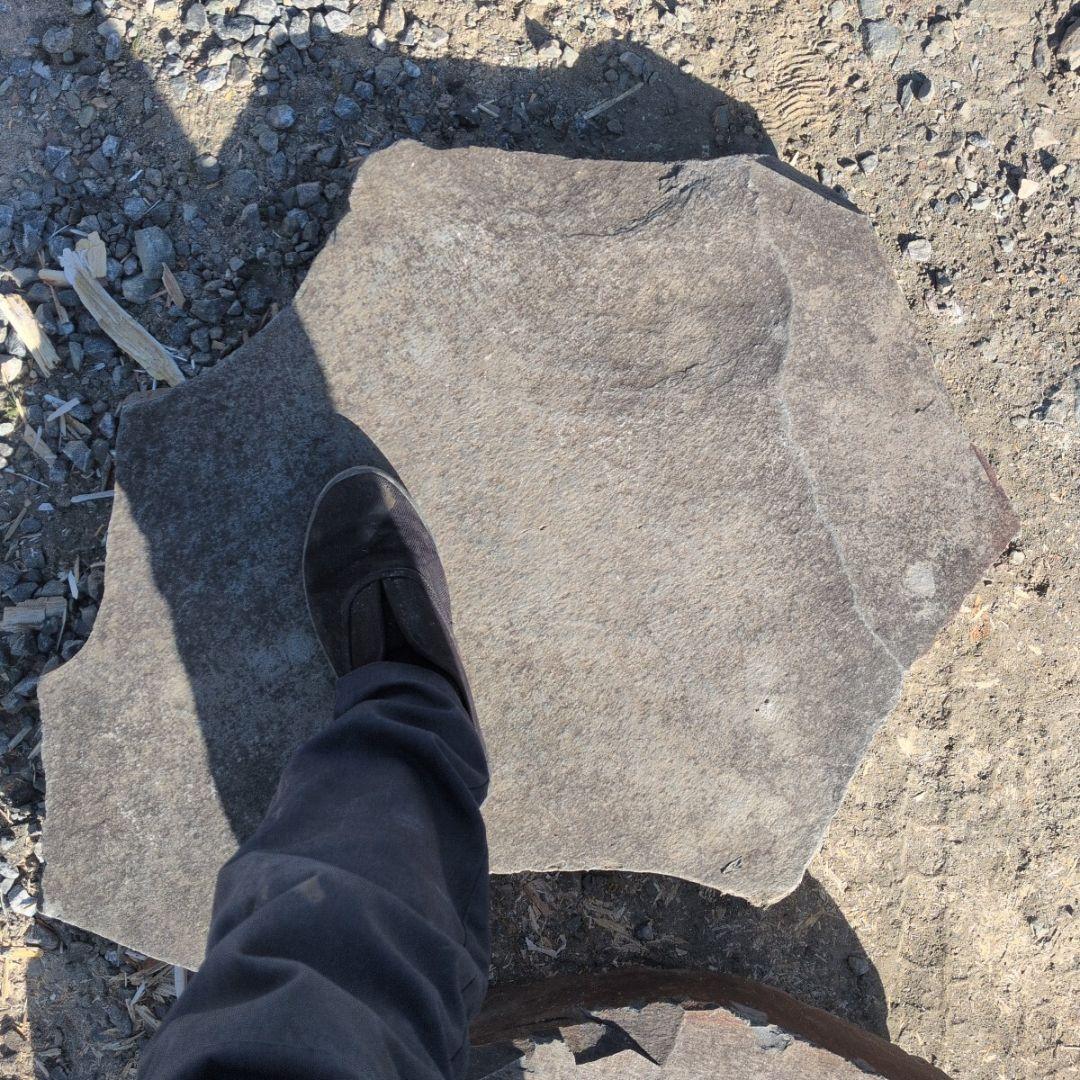 根府川石　飛石　3石セット　庭石　石 鑑賞石　庭　坪庭　ガーデニング