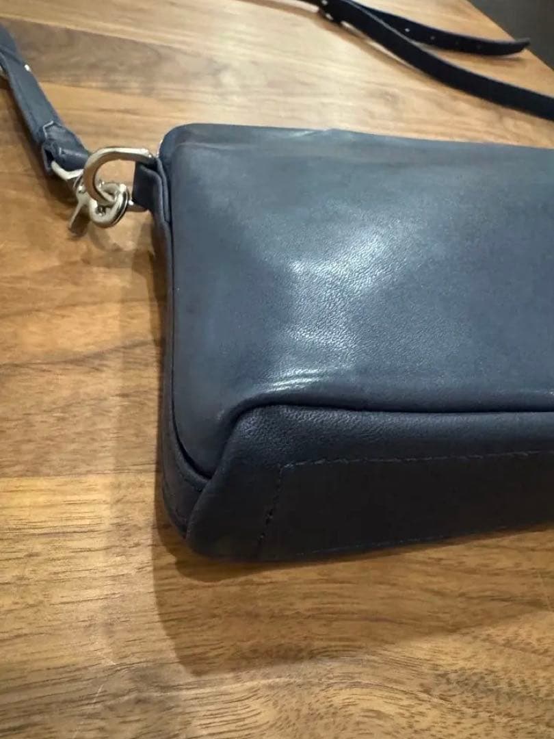 限定価格　cornelian taurusショルダーバッグ　コーネリアンタウラス