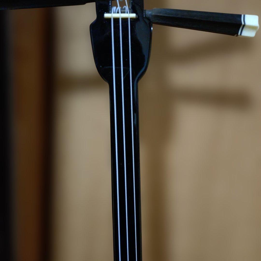 沖縄三線 本蛇皮 強化張 真壁型 爪付 ハードケース付 ウマ（駒）付