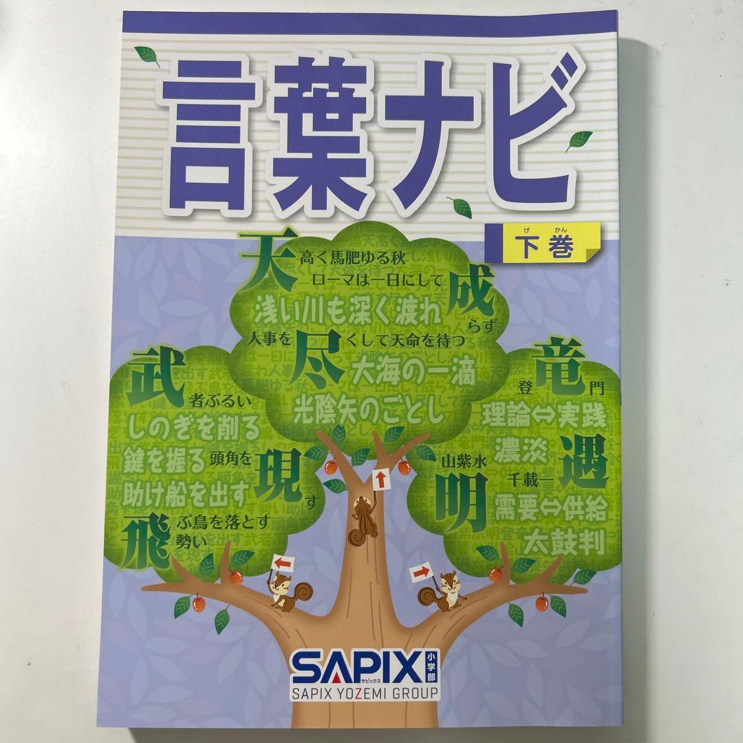 専用言葉ナビ 下巻 サピックス - メルカリ