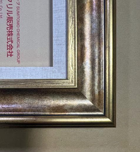 F20サイズ金色玉虫クラシック色額縁　アクリル入り