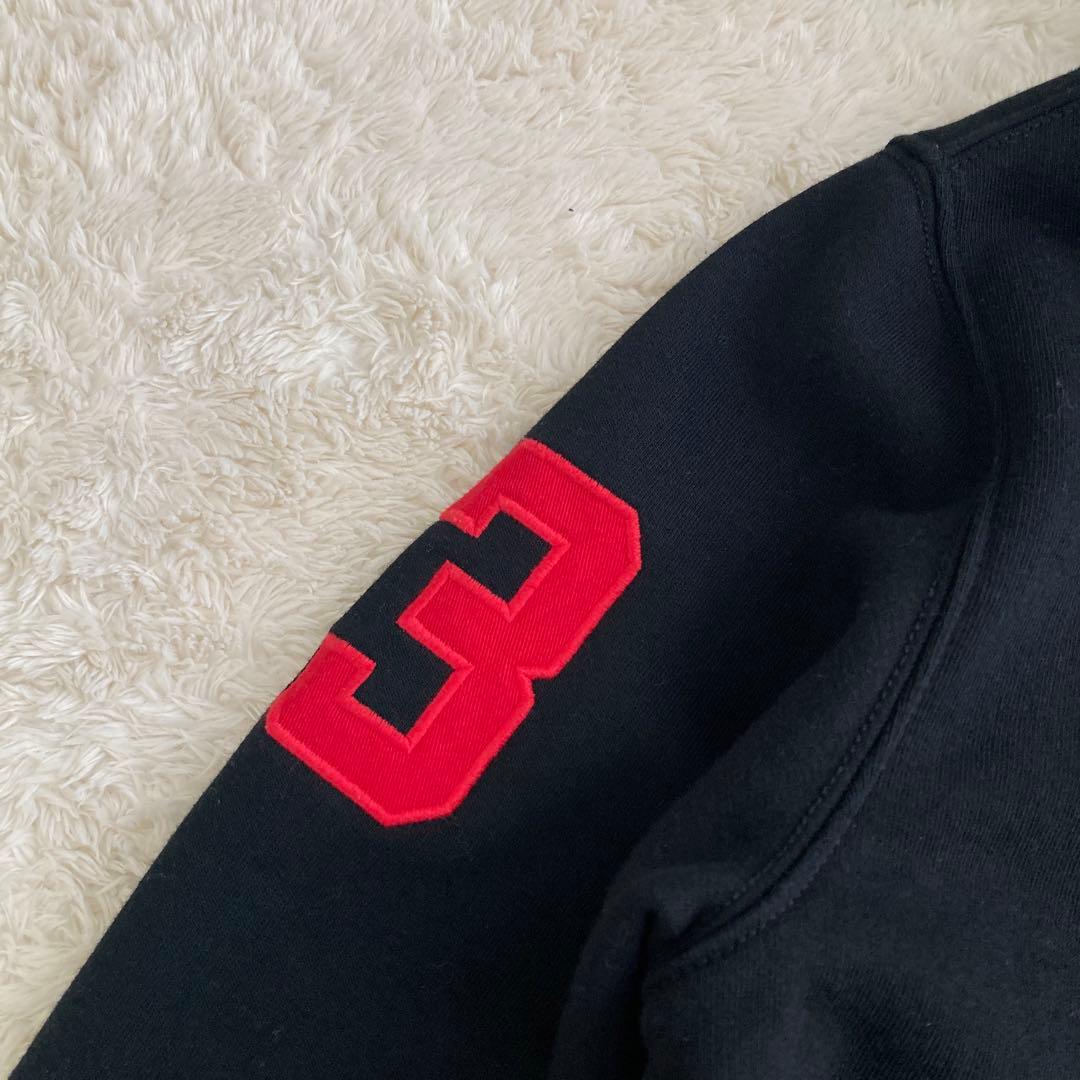 かつさんどさん専用】美品！POLO RALPH LAUREN ビッグポニー ブ - メルカリ