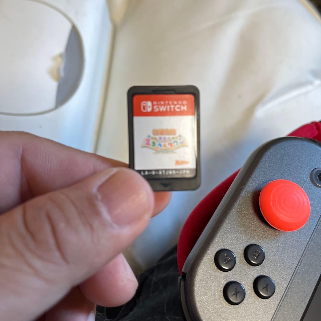 Nintendo Switch Lite ポケモンデザイん