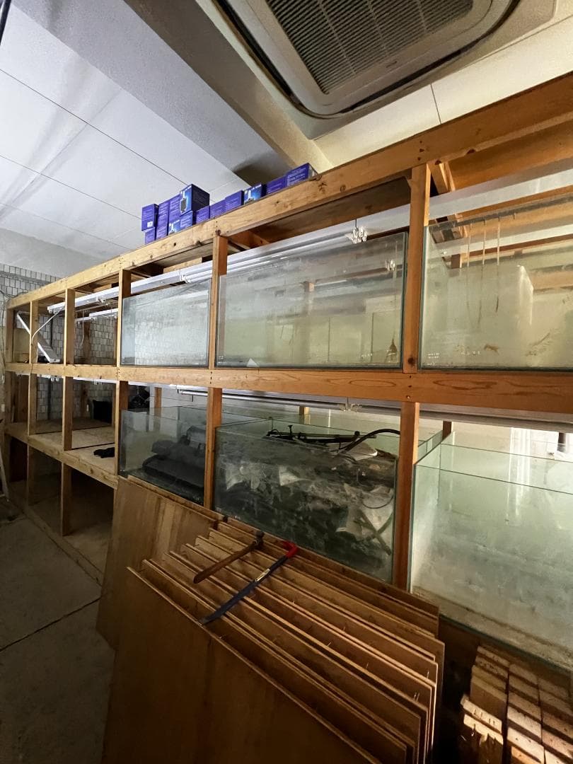 ガラス水槽 使用済品 汚れあり 引き取り限定(埼玉)の通販はau PAY