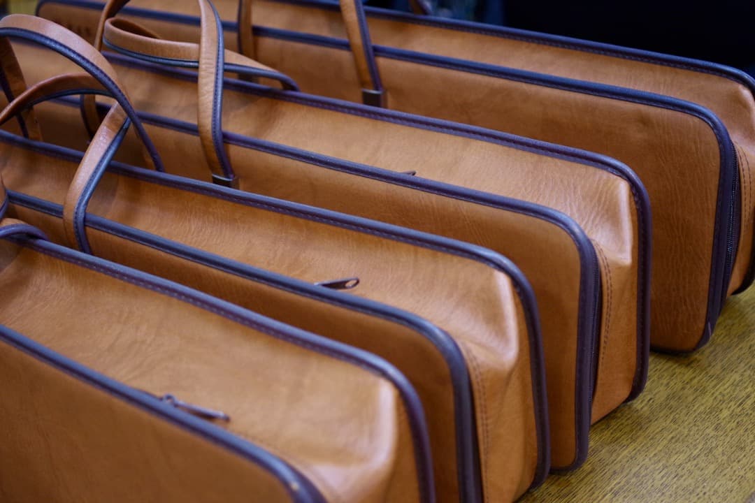 スズキ大正琴「砂丘」4本（ソフトケース付）