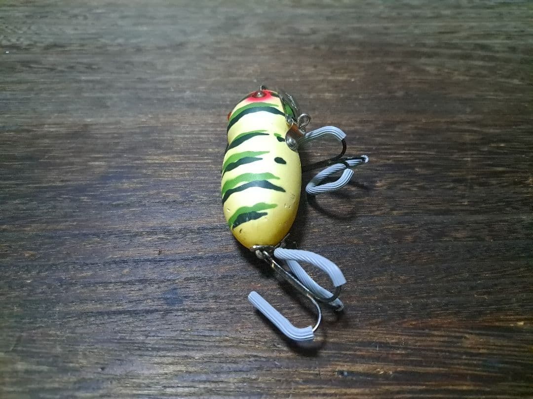 道楽　DOWLUCK 　ドウラク　アブラゼミ