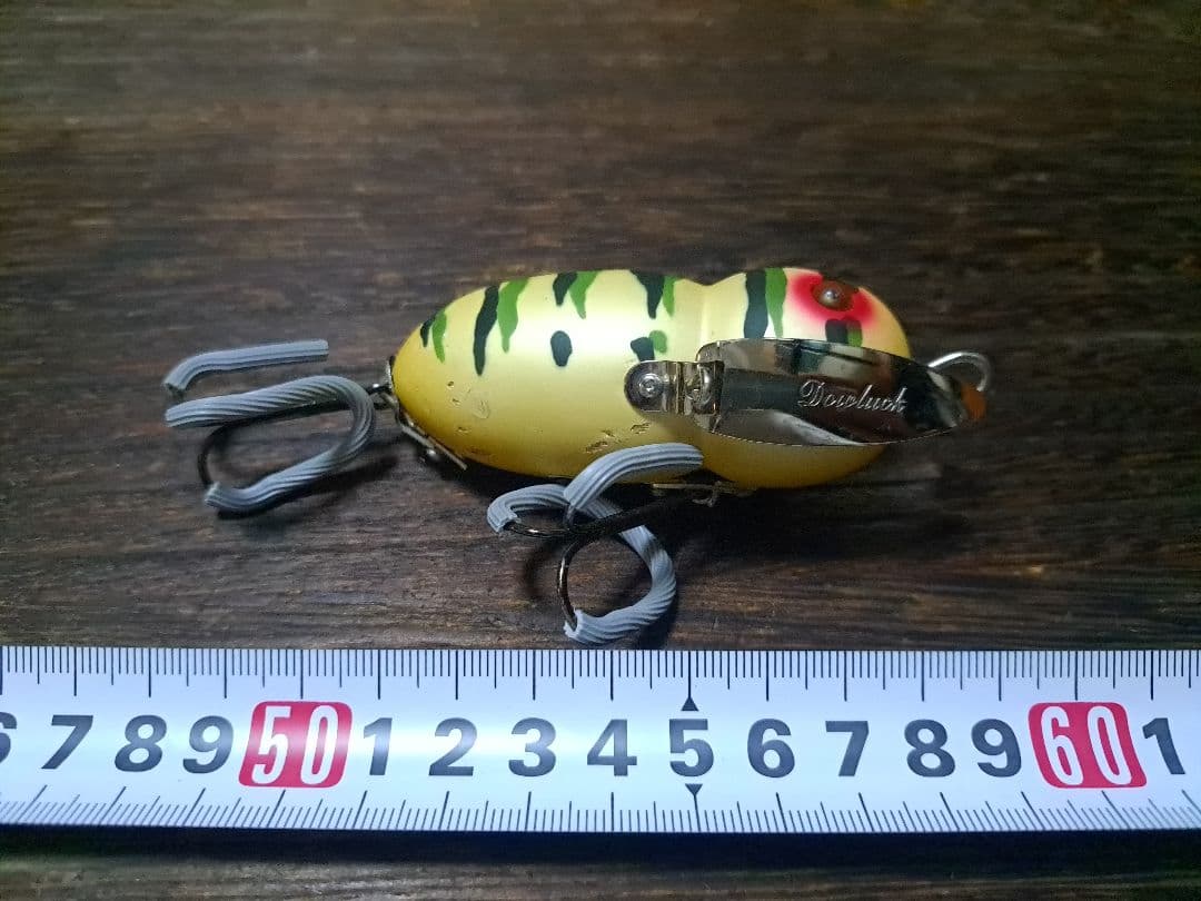 道楽　DOWLUCK 　ドウラク　アブラゼミ