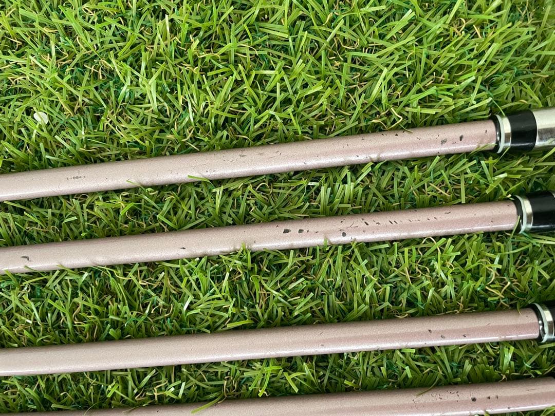 10代目ゼクシオ XXIO10 ボルドー レディースアイアンセット 5本　A