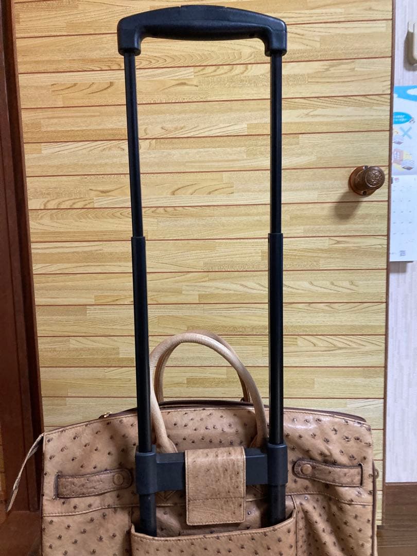 オーストリッチレザー JRA認定 大容量キャリーオンバッグ iii Sanpo製