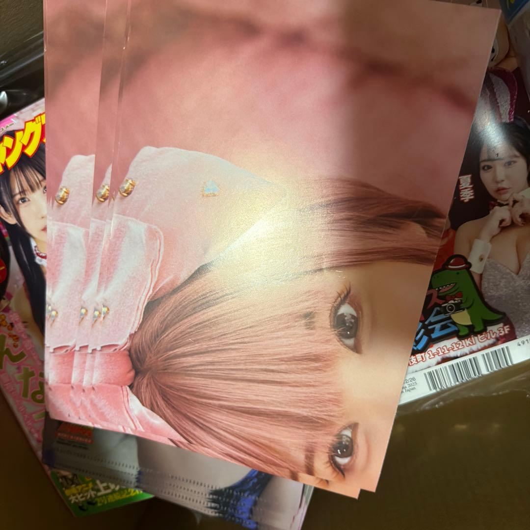 えなこローソン限定　プレミアムクリアファイル全2種　ヤングアニマル☆ 20セット