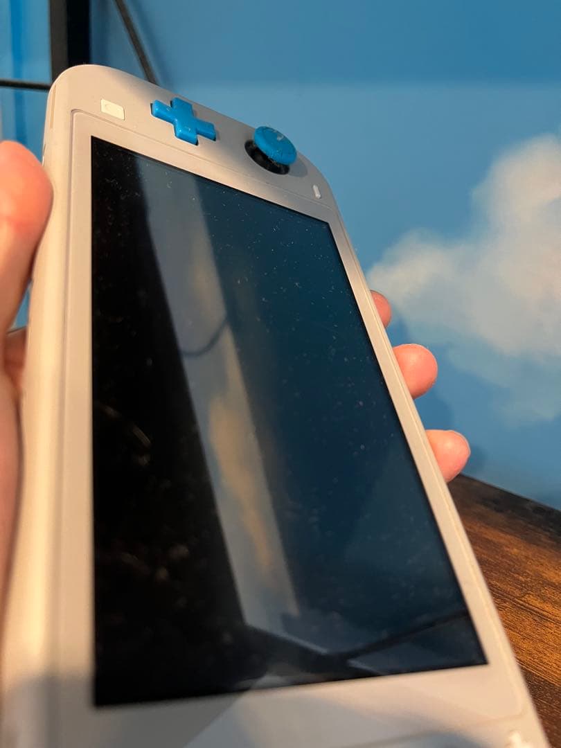 Nintendo Switch Lite ポケモンソードシールド　剣盾デザイン