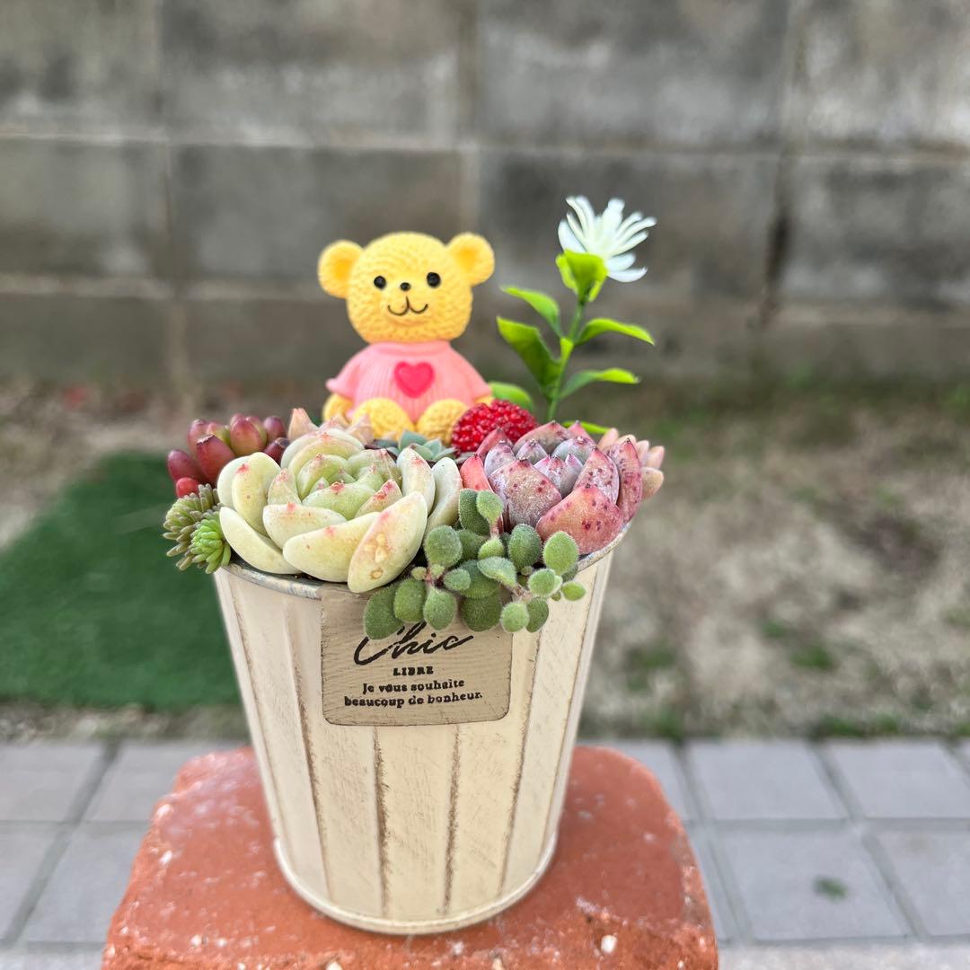 ♡そのまま飾れる♡くまちゃんの可愛い多肉植物寄せ植え