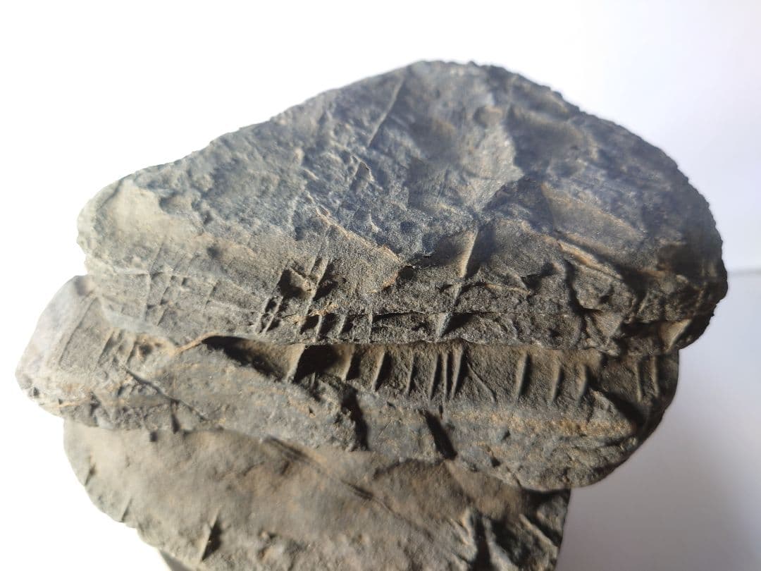 佐治川石 層状 水石 鑑賞石