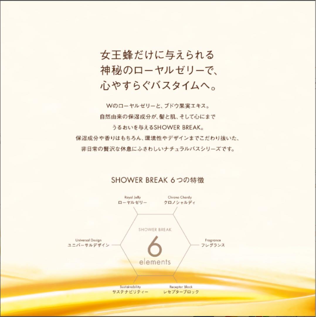 ポーラ　POLA ひととき シャンプー＆コンディショナーセット　10L詰め替え用