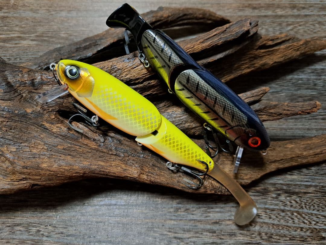 エバーグリーン　ティンバーフラッシュ　ノイジーダックス　人気色セット