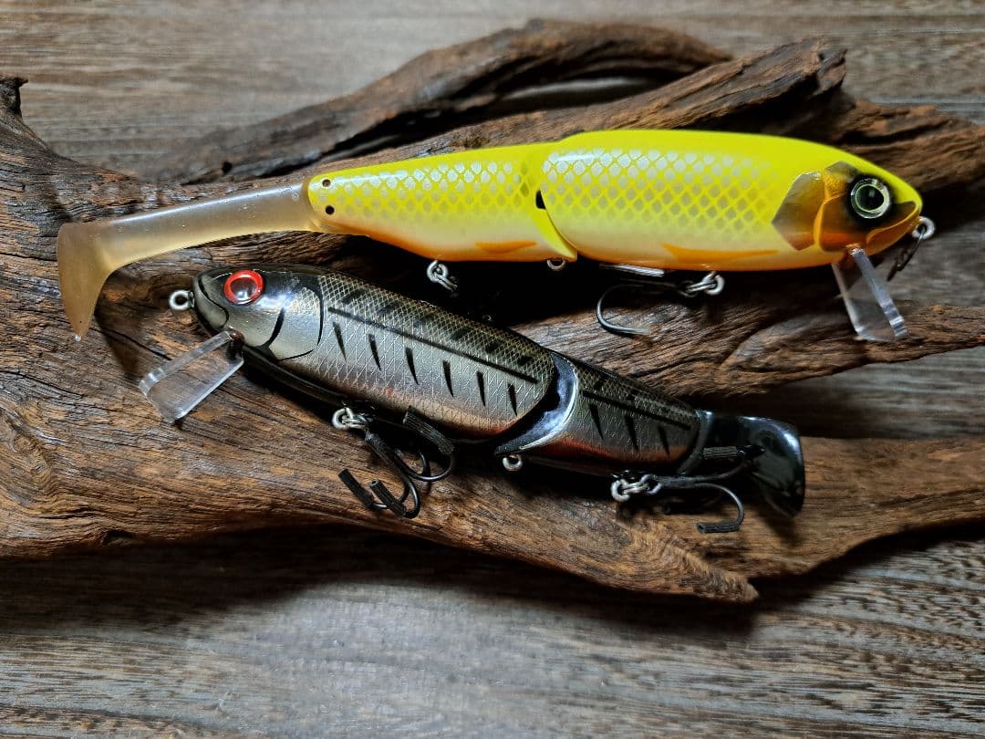 エバーグリーン　ティンバーフラッシュ　ノイジーダックス　人気色セット