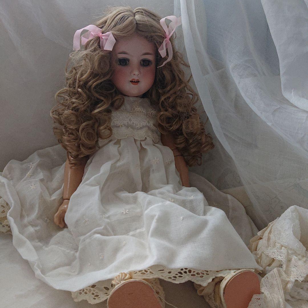 ルイス　アンバーグ　51㌢