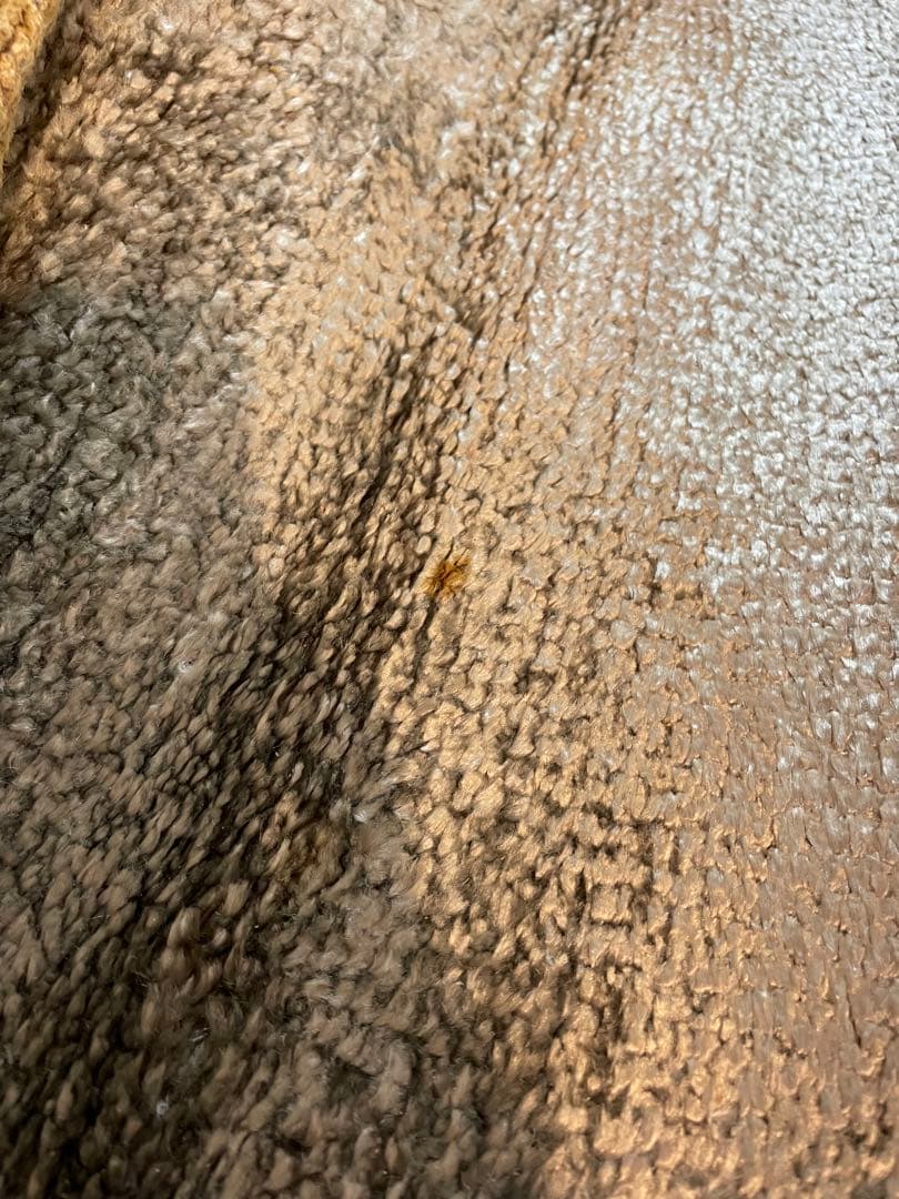 カッシーナ　G.T.DESIGN KAMA (シルバー) カーペット