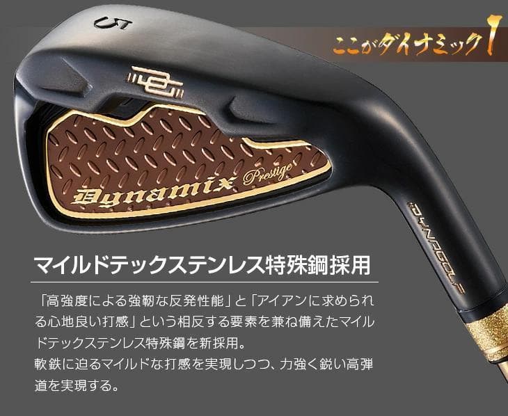 【新品】高反発 ダイナミクスプレステージアイアン6本　ワークテック飛匠