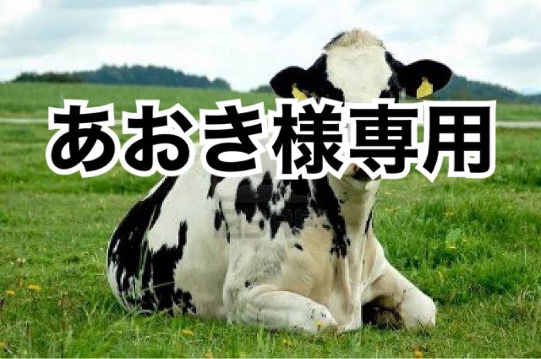 タンへり20m、ホワイト10本