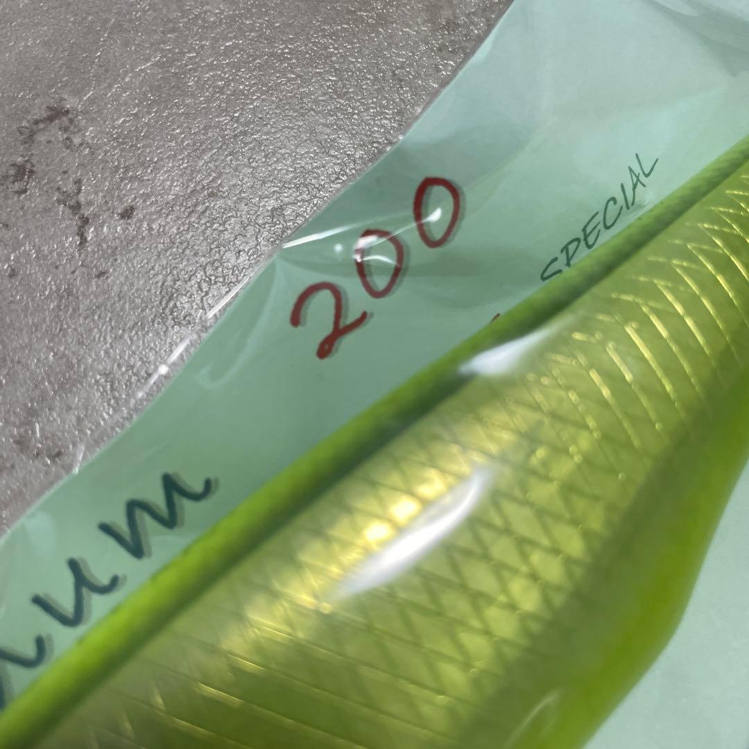 スタジオWG レベッカマグナム200