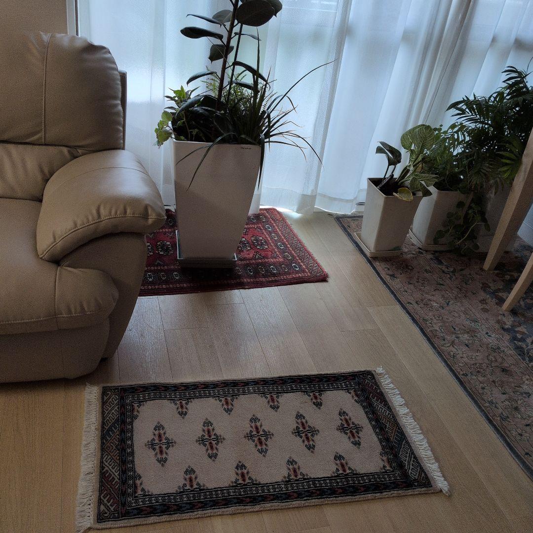 46x86cmパキスタン手織りマット(834)ギャッベ・ペルシャ・毛