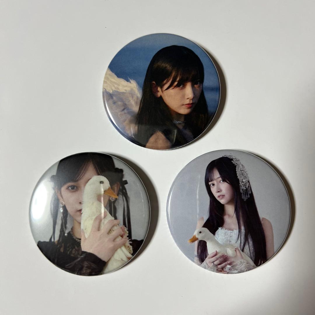 乃木坂46 池田瑛紗 缶バッジ 3種セット 個展 Wings あひるの夢 - メルカリ