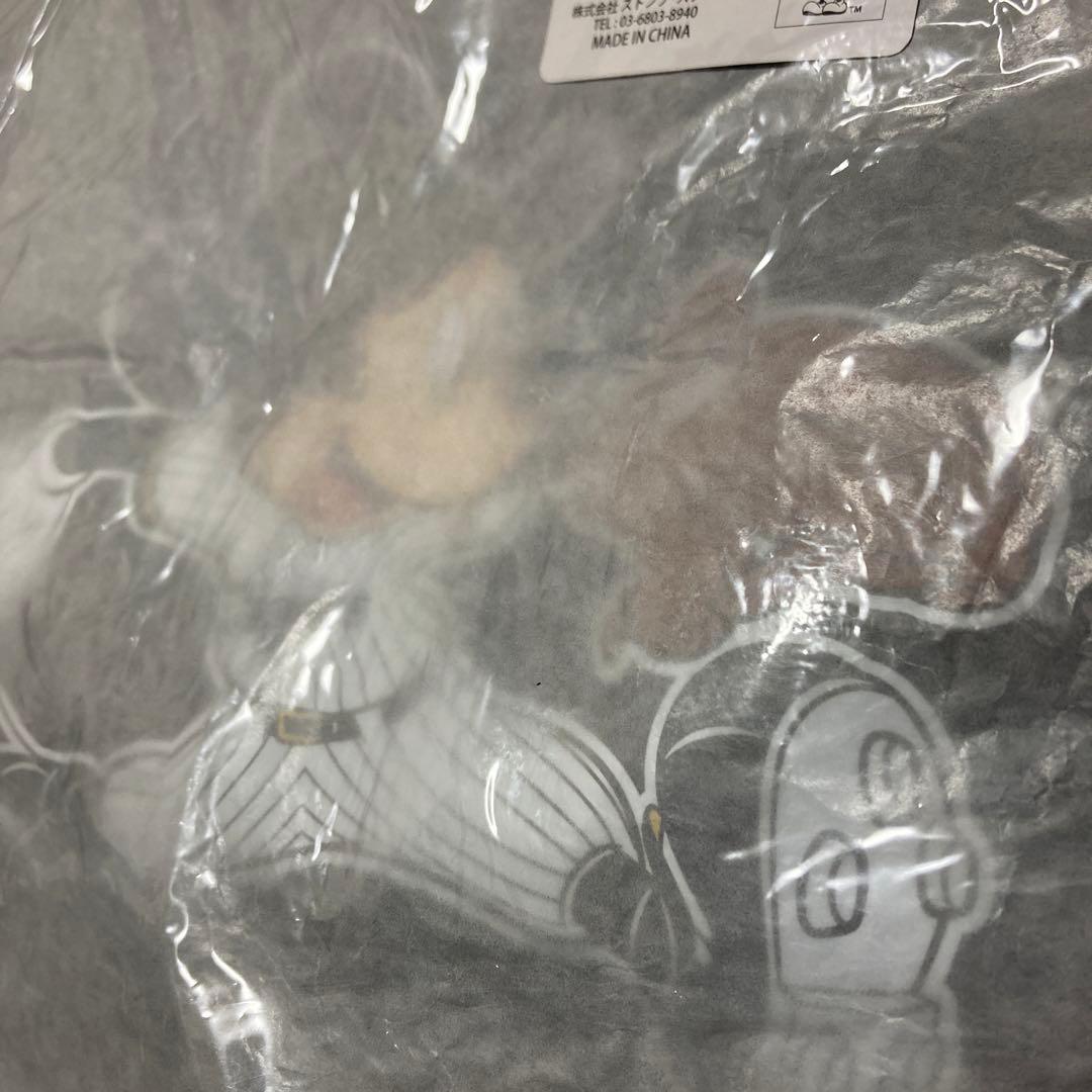 阪神タイガース優勝記念Vロゴレプリカユニフォーム　他グッズ