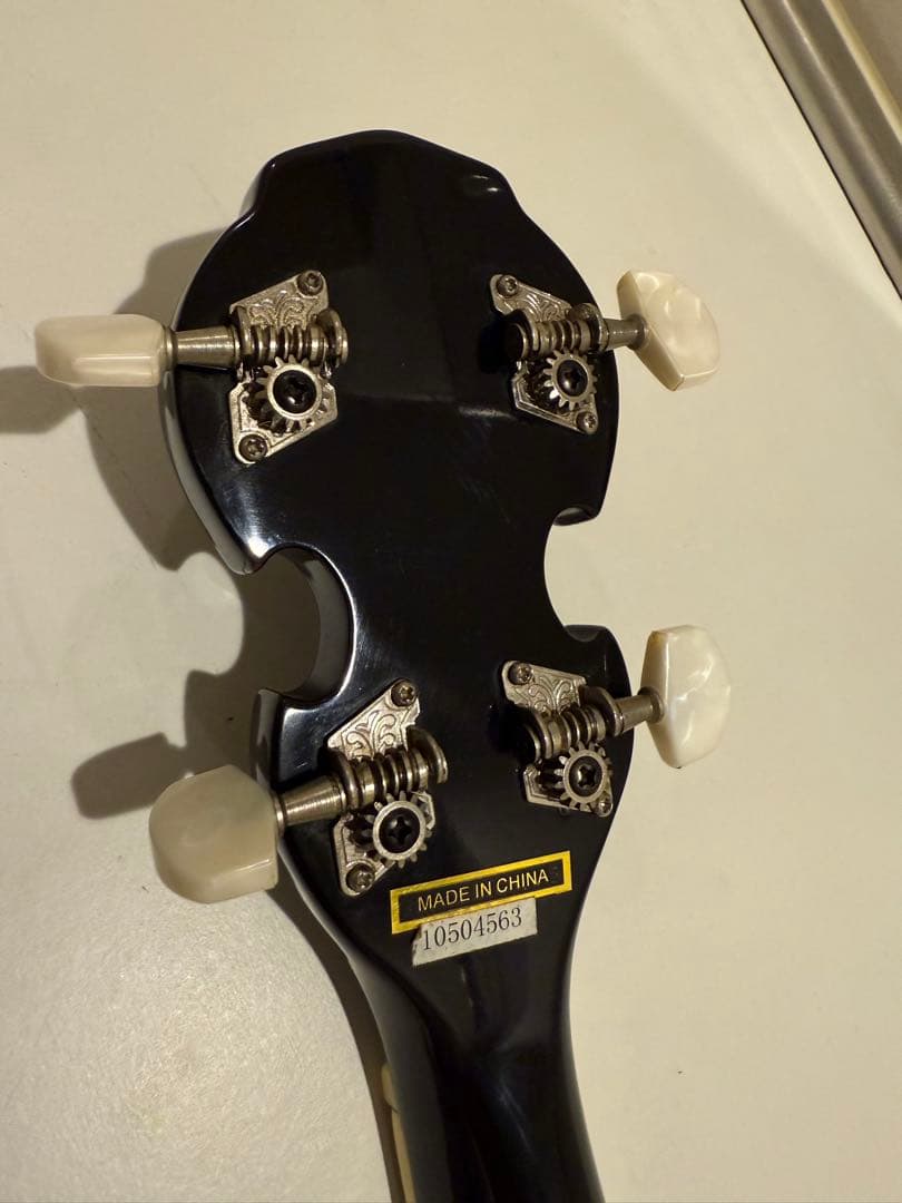 Aria アリア 5弦 バンジョー ハードケース付