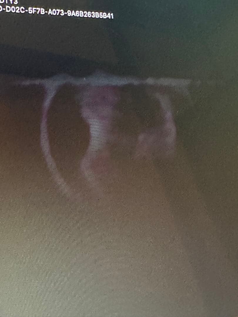 MacBook Pro 2012年 i5 RAM16GB SSD500GB