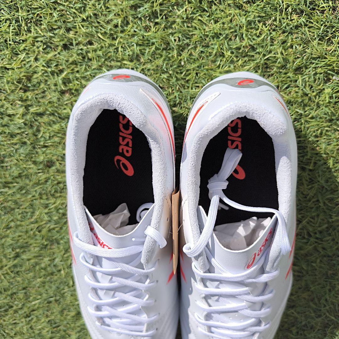 シューズ asics DS LIGHT ADVANCE WIDE 27.0cm