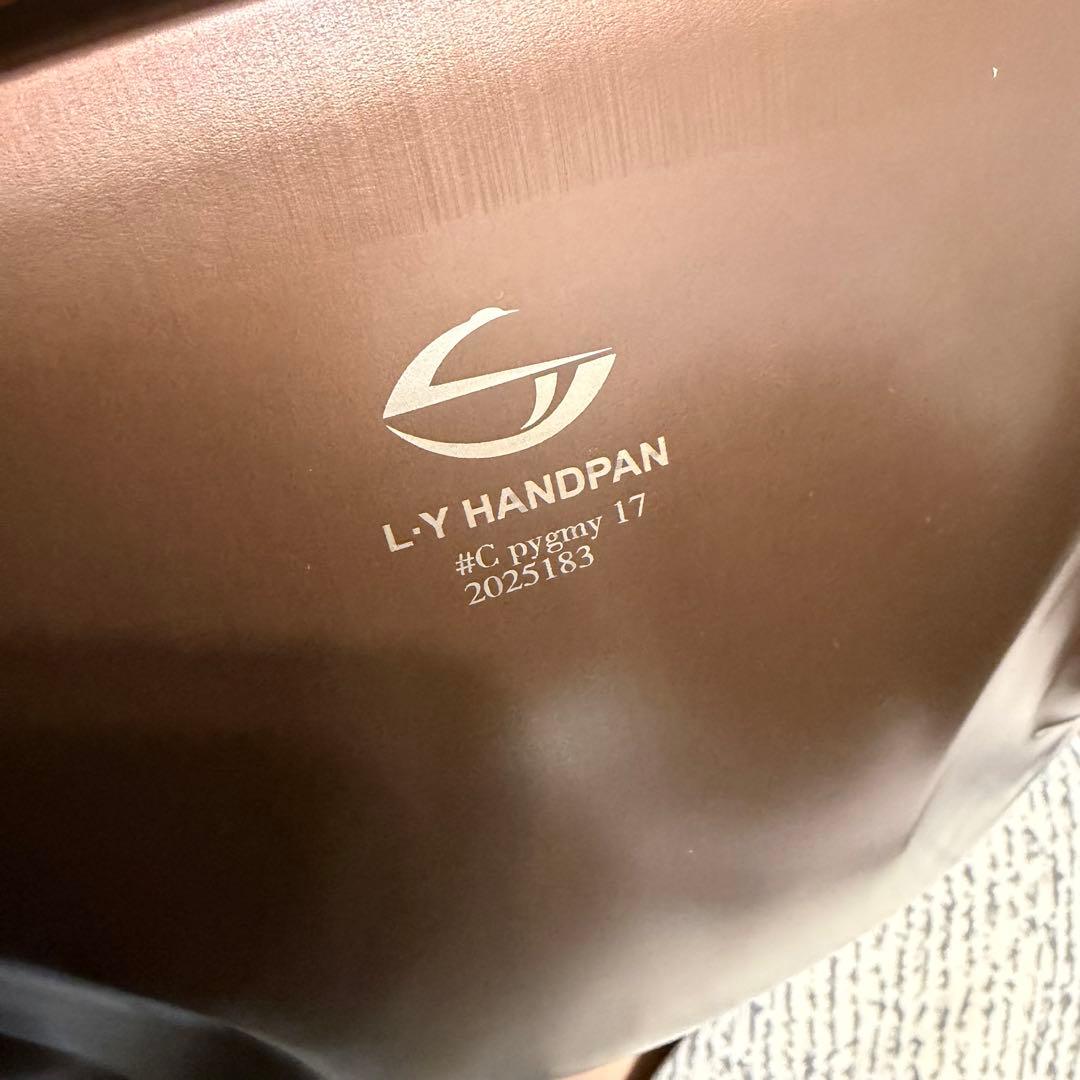 L.Yハンドパン　C# Pygmy 17