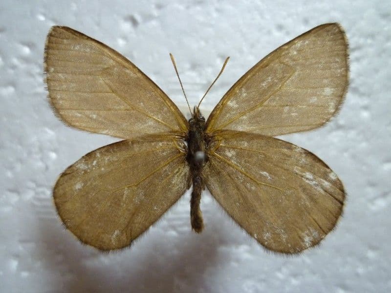 まるお様 リクエスト ３点 まとめ商品