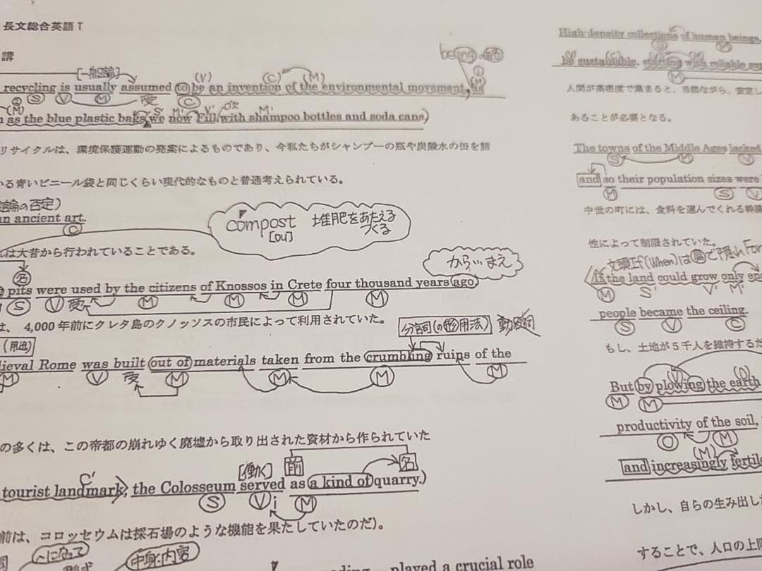 河合塾の登木先生の長文総合英語T講義プリントセット 駿台 鉄緑会 東進