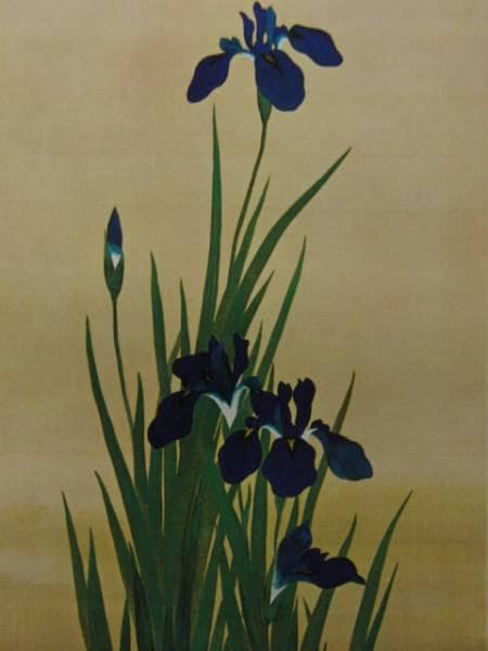 酒井抱一、菖蒲鷭図、超希少・大判画集画、新品高級額装付 - メルカリ