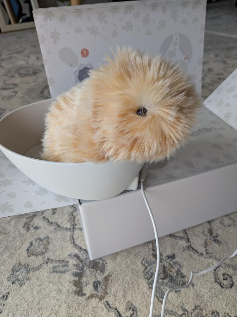 Moflin ゴールド　ハウス、アダプター等全部揃ってます