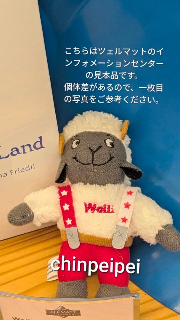 Wolli ウォーリー スイス BTS JUNG KOOK イゲマジャ【残1】