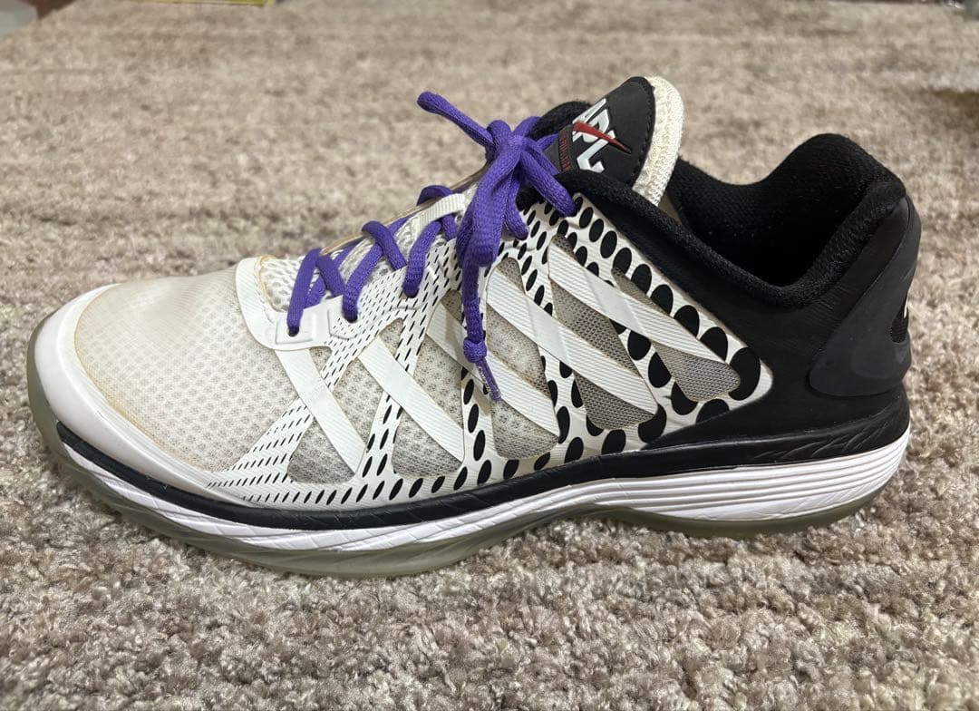 日本未発売 APL Vision Low ホワイト/ブラック31cm