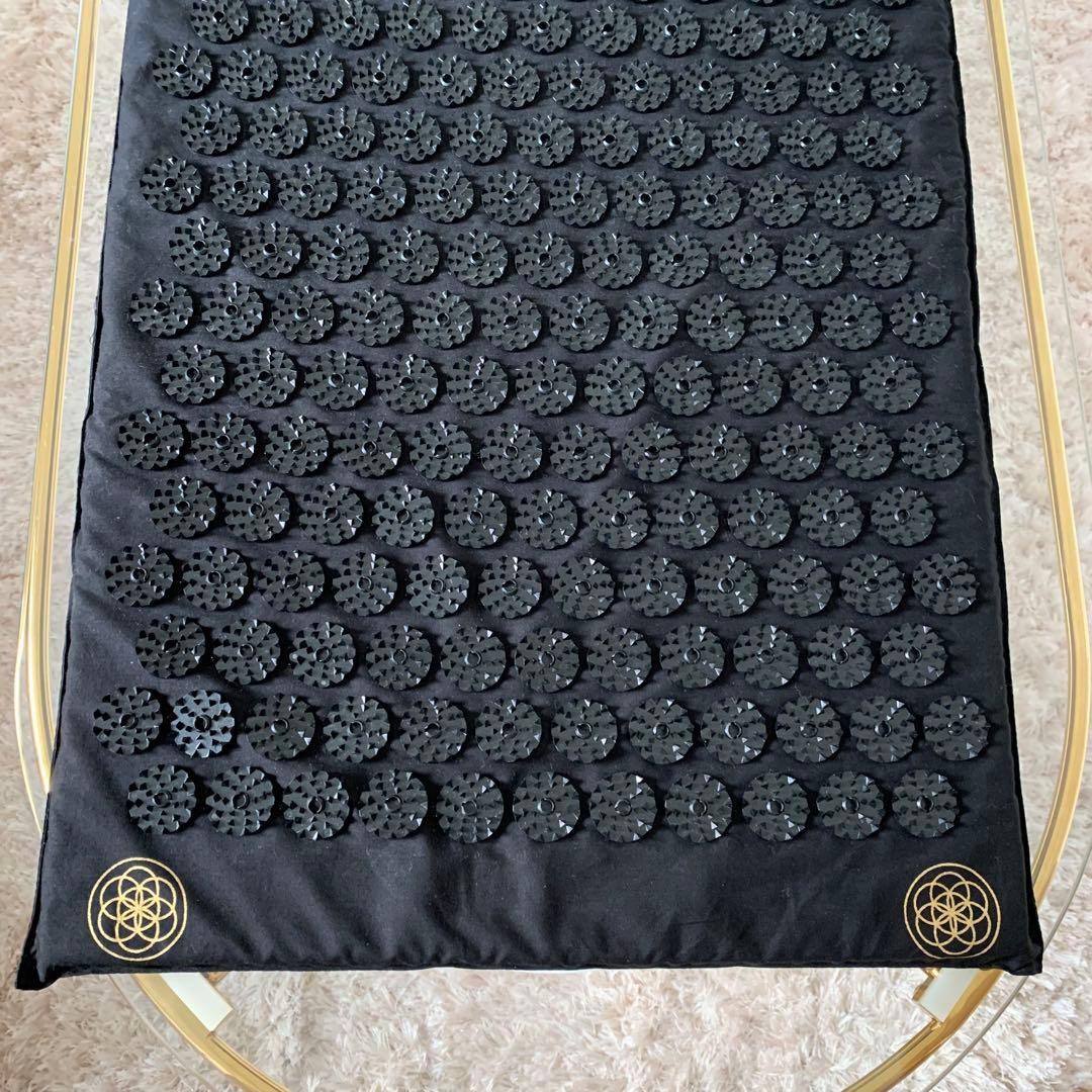 SHAKTI シャクティ　マット&ピロー　正規品ブラック