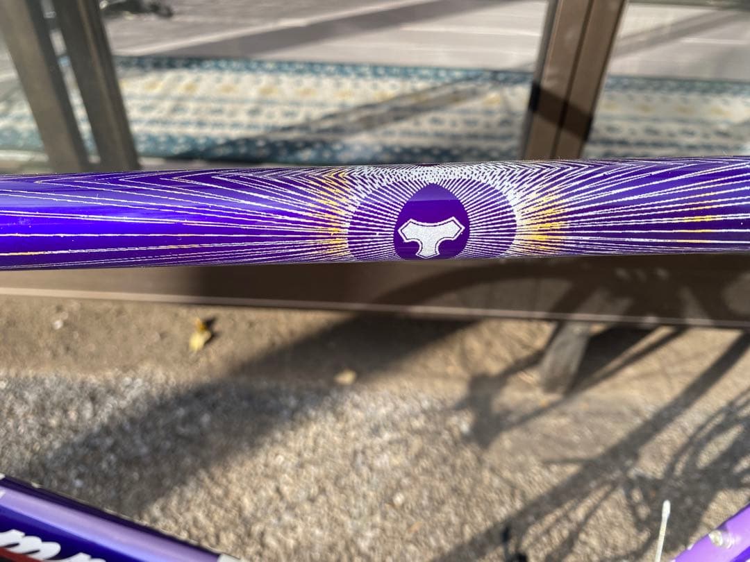 Tommasini (トマジーニ) イタリアンビンテージロードバイク