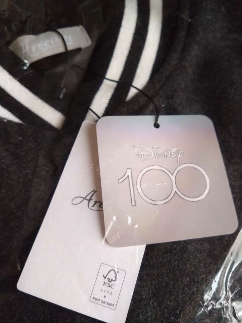 アリーム Disney100/ミッキーマウスクラブ/スタジャン