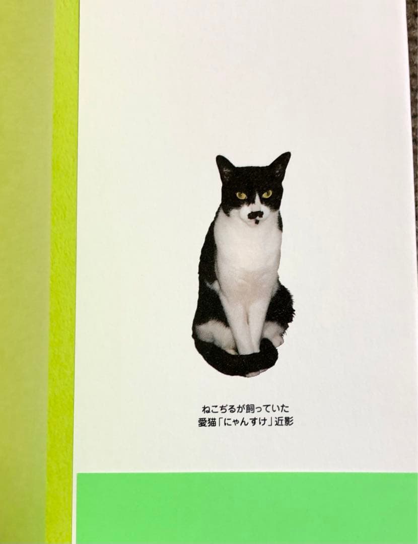 8冊初版 綴じ込みシール未使用 青林堂版うどん有】ねこぢる12冊セット