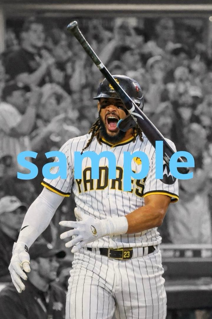 MLB サンディエゴ・パドレス フェルナンド・タティス・jr アート⑦