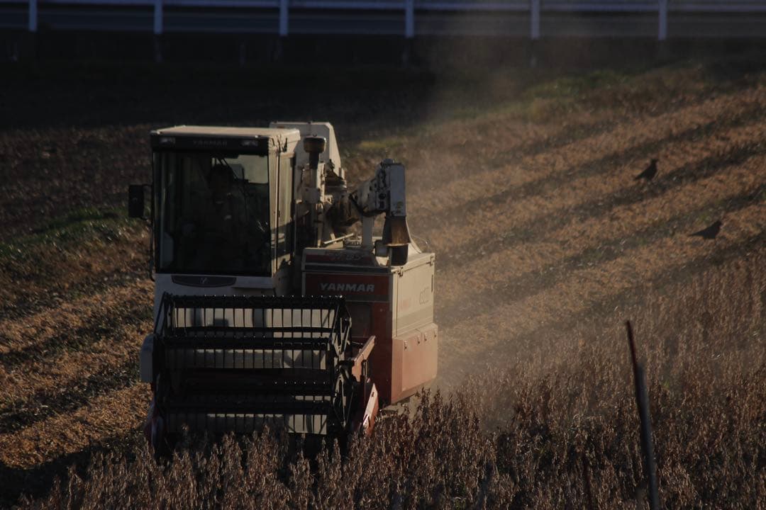 Canon EF 75-300mm is use ズームレンズf4-5.6