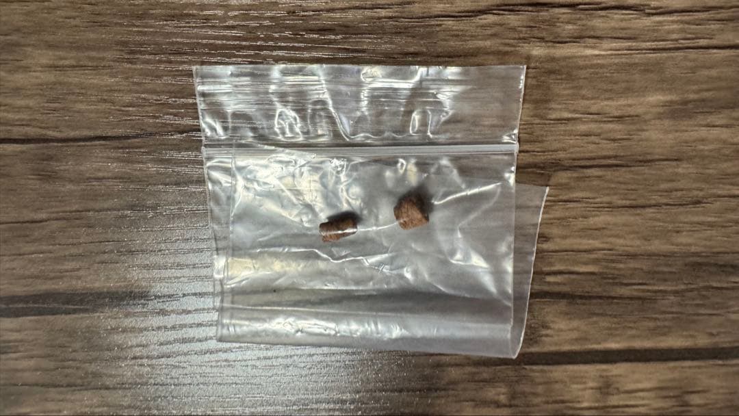 【尺八】三橋貴風監修 / 玄風銘1尺6寸管(E) / 5孔7孔兼用