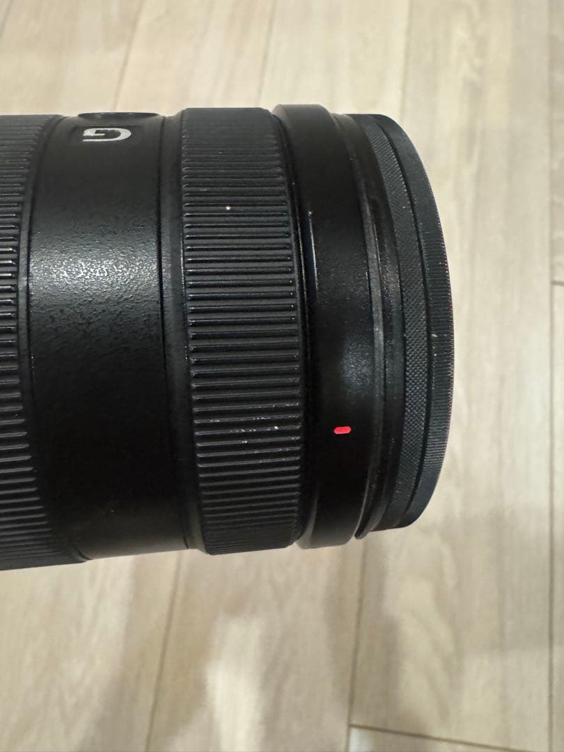 ご*ご様 SONY FE 24-105mm F4 G OSS SEL24105G