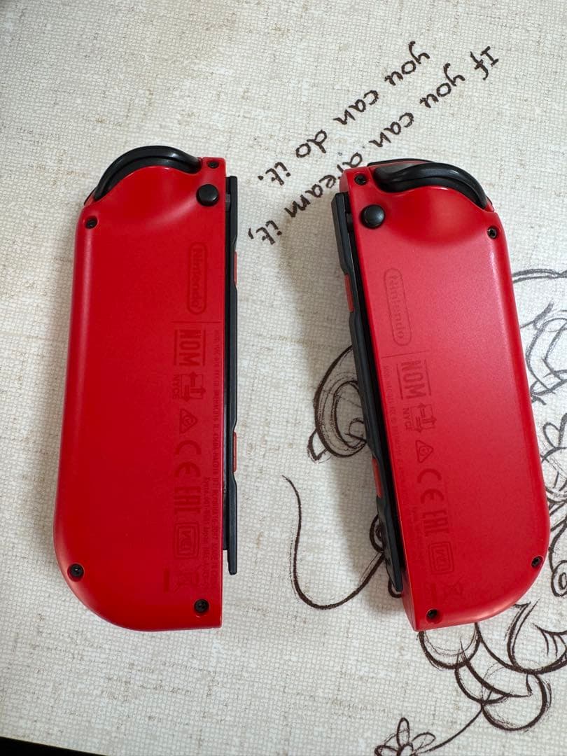 む*む様 Nintendo Switch スーパーマリオ オデッセイ セット