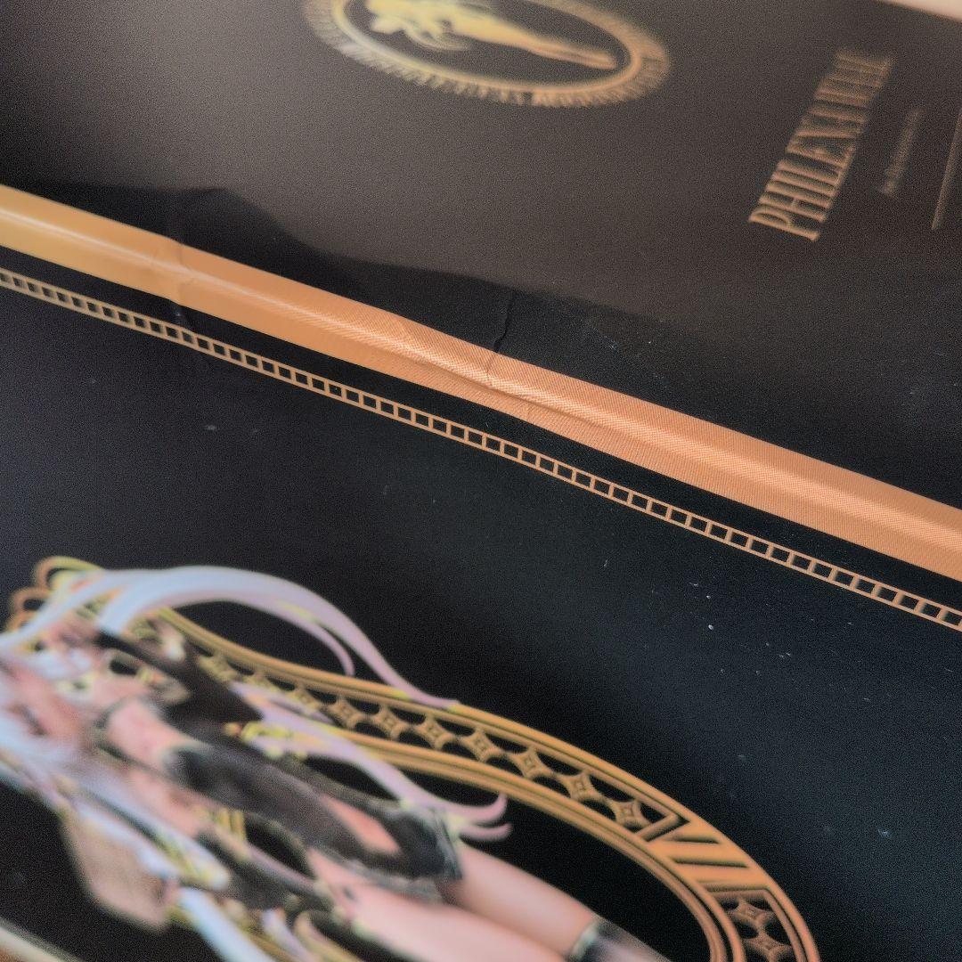 未開封　 AMAKUNI 大褐色時代 フィレナ・ワール