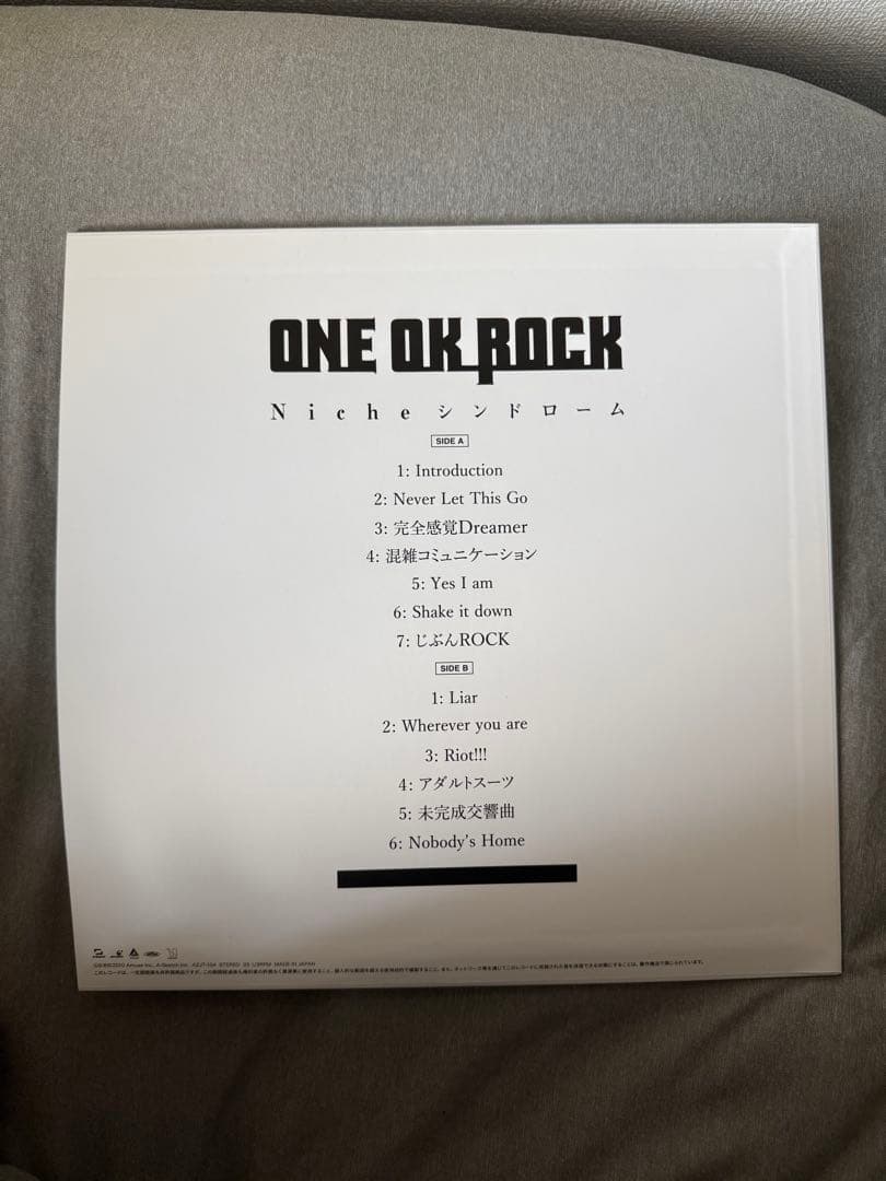 ONE OK ROCK Nicheシンドローム レコード One Ok Rock - Niche