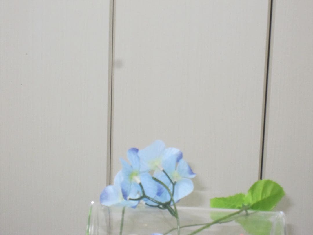 Canon IXY 510IS PC1356 充電器　ブルー コンデジ　動作品